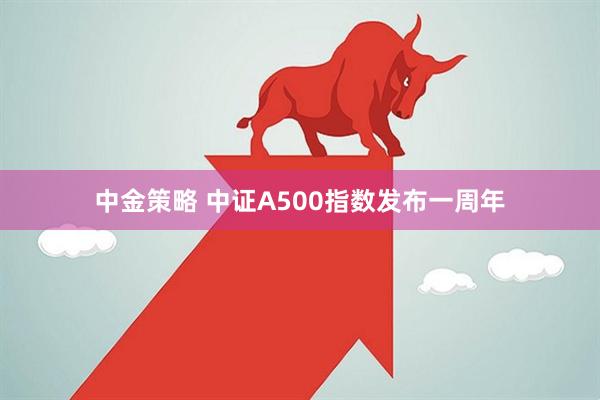 中金策略 中证A500指数发布一周年