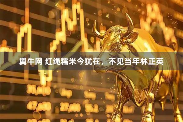 翼牛网 红绳糯米今犹在，不见当年林正英